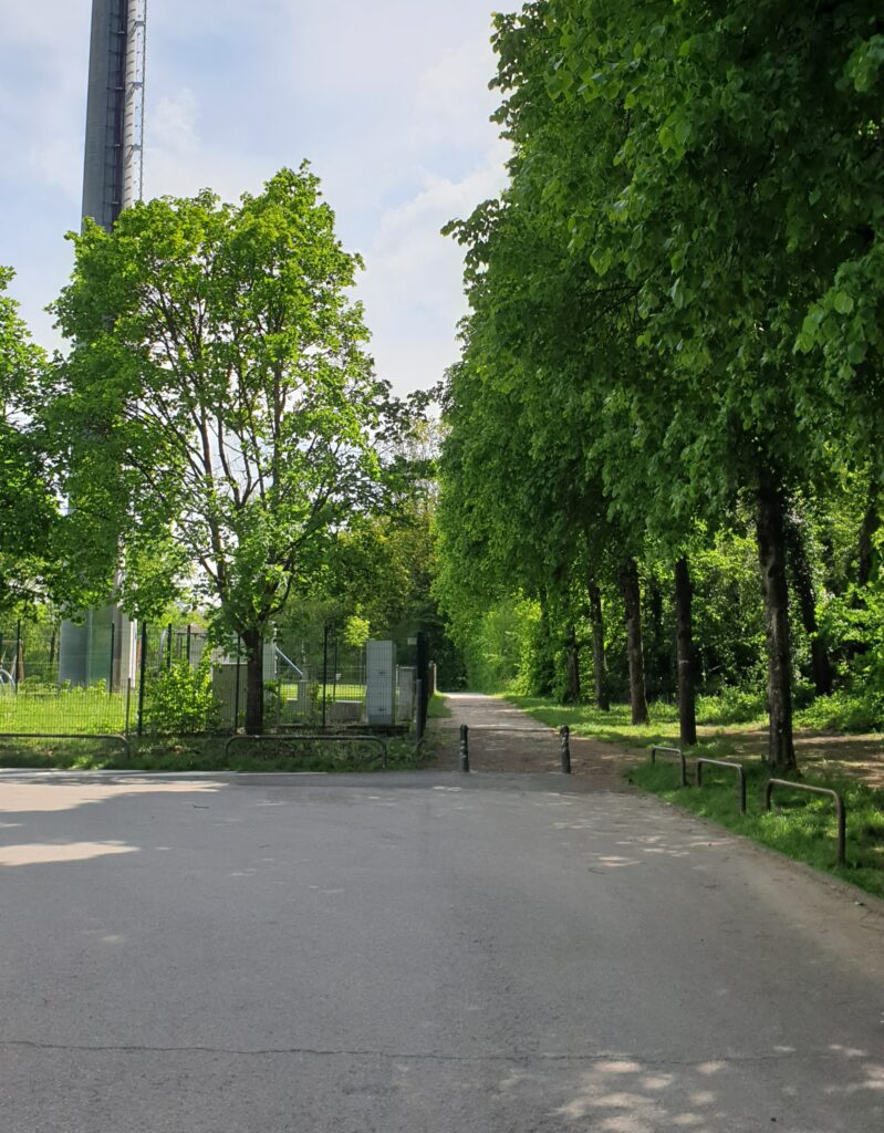 Foto Kukiloco Beien Blummen