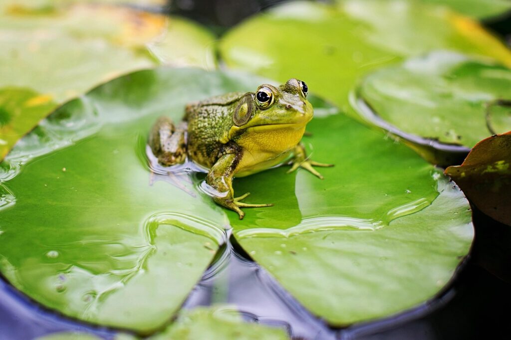 Ab in die Natur