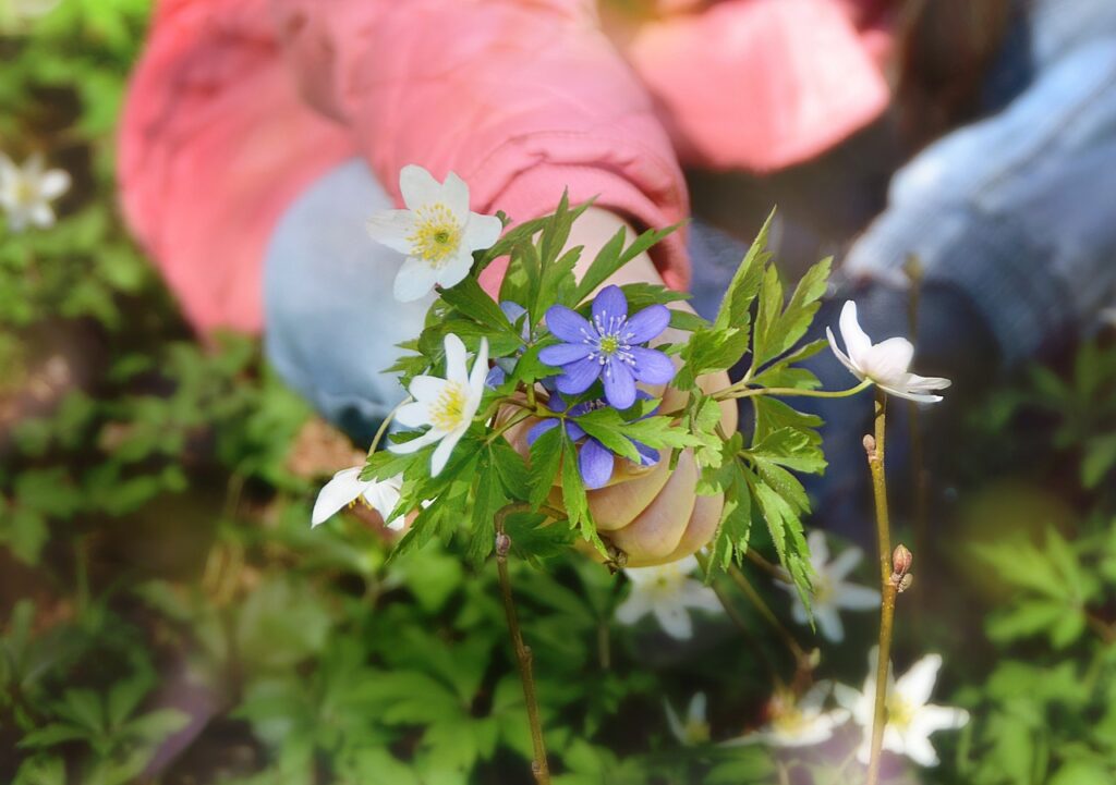 Ab in die Natur