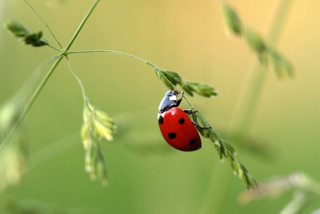 Ab in die Natur