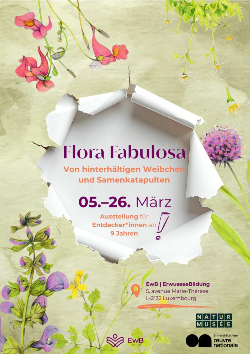 Flora_Fabulosa Flora_Fabulosa