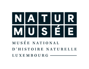 Naturmusee_Logo_Nightblue_Fullname_Small